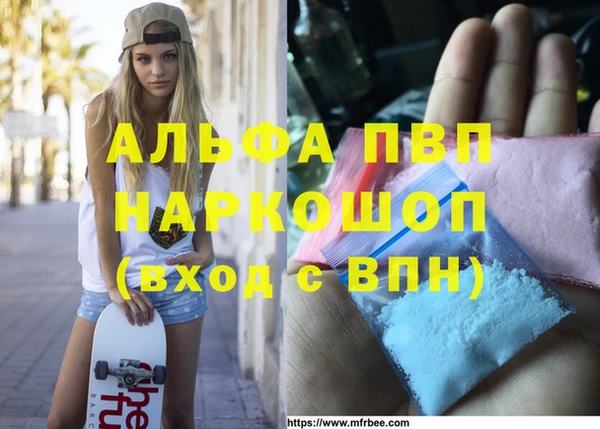 кокс Касимов