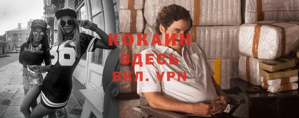 дживик Балахна