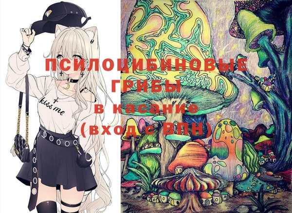 кокс Касимов